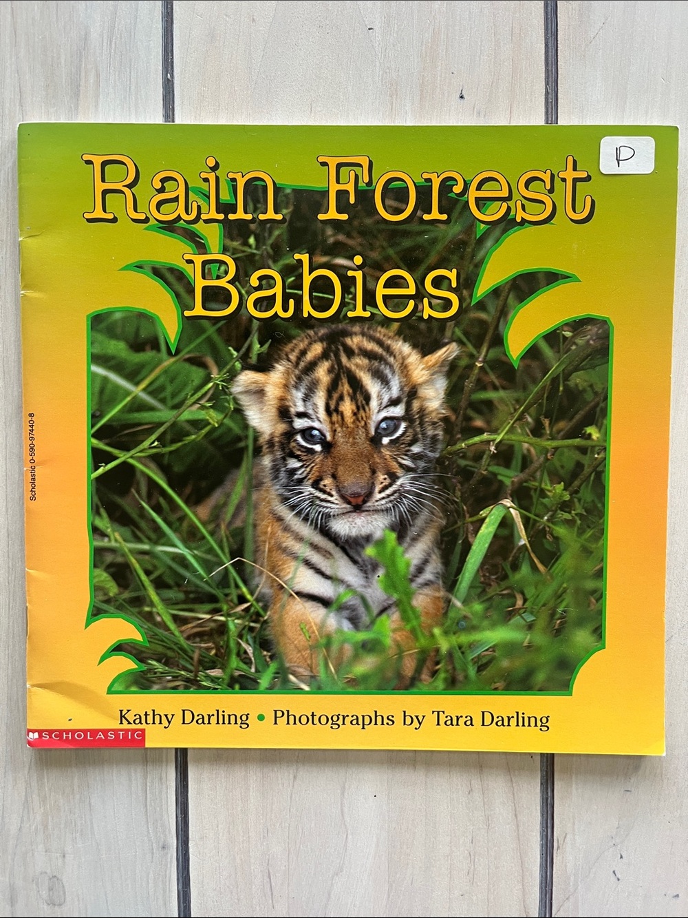 Rain Forest Book Bundle: The Great Kapok Tree, Rainforest Animals and Babies - Picture 4 of 8